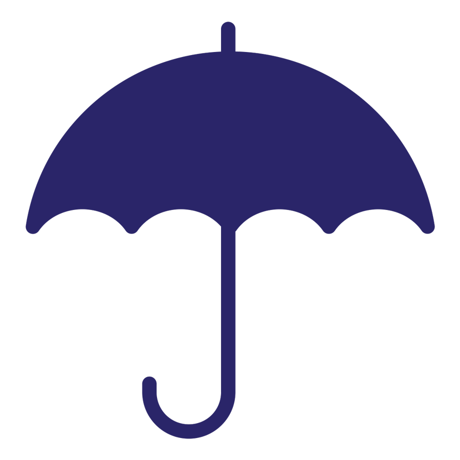 insurance icon